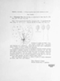 Uromyces pisi-sativi image